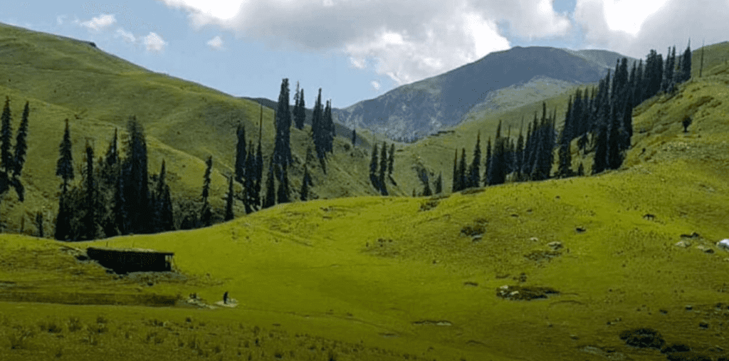 Murre Tour Packages: Best Tour Packages for Your Dream Getaway in Pakistan