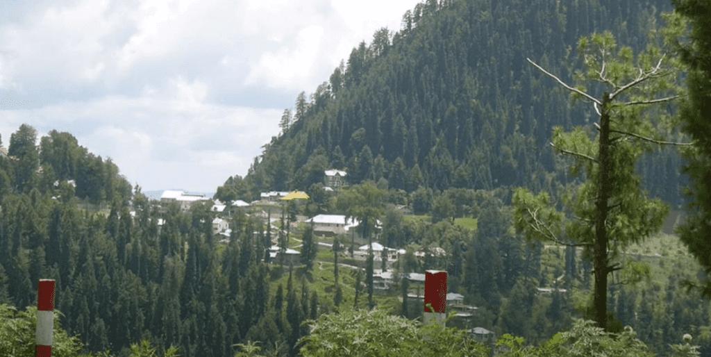 Murre Tour Packages: Best Tour Packages for Your Dream Getaway in Pakistan