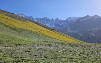 Top Stays in Ghizer Valley, Perfect Places to stay in North Pakistan