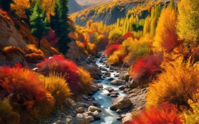 Autumn Color Tour Packages in Northern Pakistan: Explore the Stunning Fall Foliage