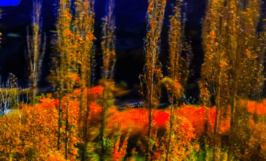 Autumn Colors in Pakistan are the Best Destinations to Visit