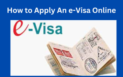 An e-Visa Online: How to Apply for : Fast & Easy with Visagov