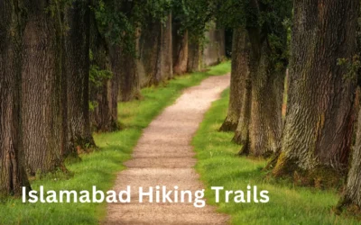 Hiking Spots Near Me in Islamabad: Discover the Best Trails and Outdoor Adventures