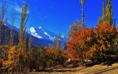 7-Day Fairy Meadows & Hunza Adventure Tour 2025