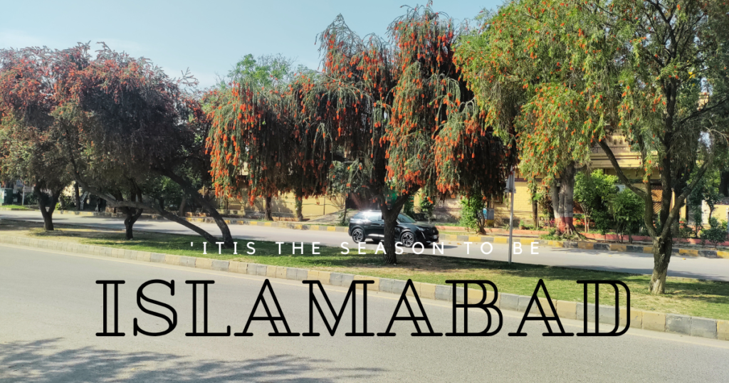 What is Islamabad Famous For: A City of Modern Marvels and Natural Beauty