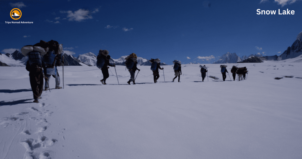 Trekking in Pakistan: Explore the Best Treks with Trips Nomad Adventure
