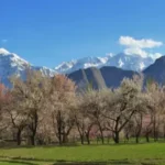 7 Days Gilgit-Baltistan Spring Blossom Tour (March to May 2025)