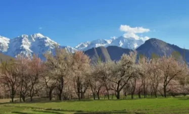 7 Days Gilgit-Baltistan Spring Blossom Tour (March to May 2025)
