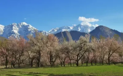 7-Day Gilgit-Baltistan Spring Blossom Tour Package: A Nature Lover’s Dream