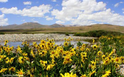 Where to Go for an Autumn Colors Tour 2025 in Northern Pakistan