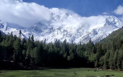 Best Adventure Trips in Pakistan: Ultimate Guide to Thrilling Escapes