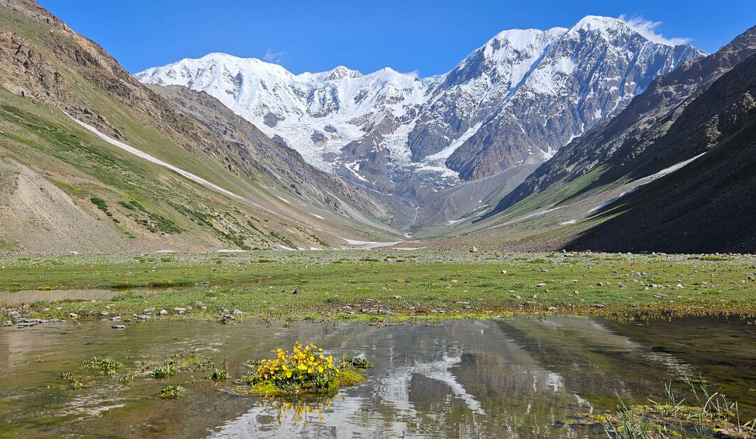 Hindukush Trekking Guide: Routes, Difficulty, Costs & Safety Tips