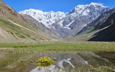 Hindukush Trekking Guide: Routes, Difficulty, Costs & Safety Tips