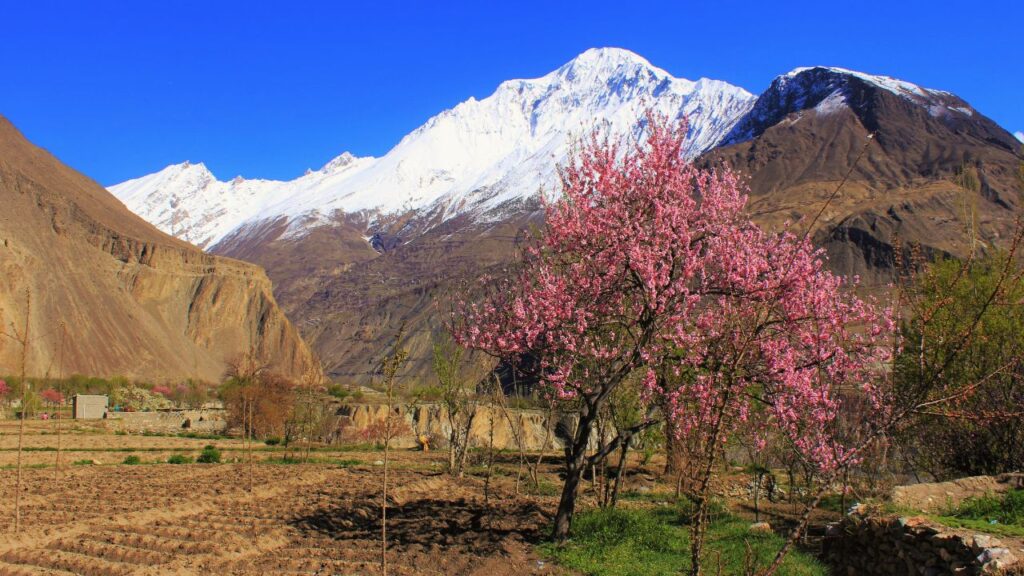 Hunza Valley tour packages Karakoram mountains
