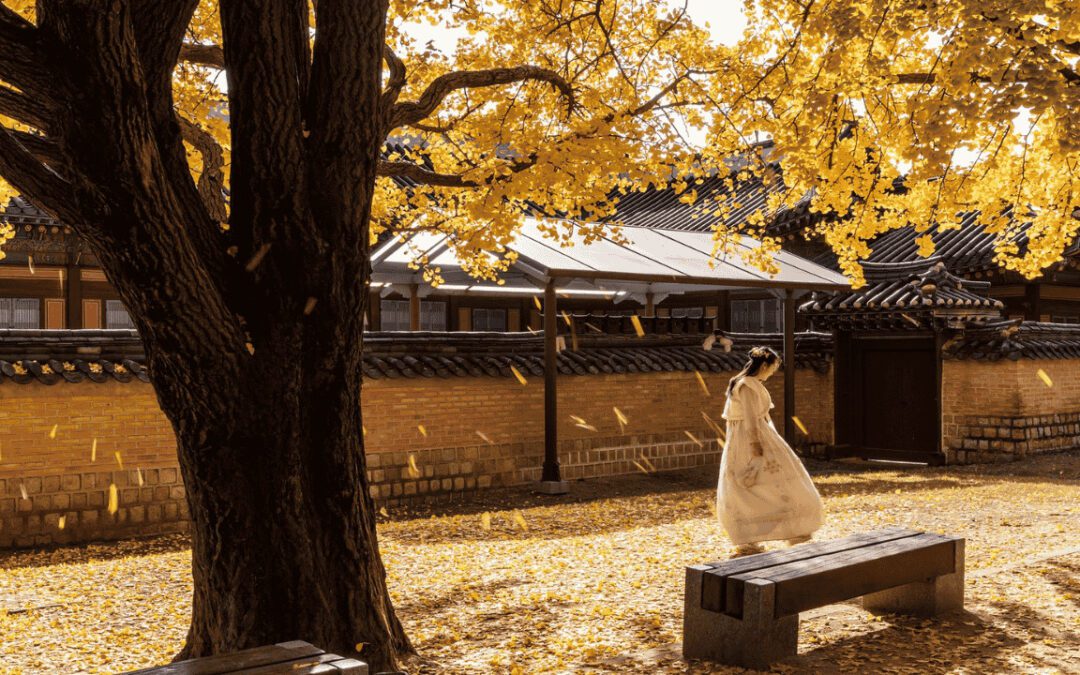 1 Week South Korea Honeymoon Itinerary: Seoul, Busan & Jeju Island (2026 Guide)