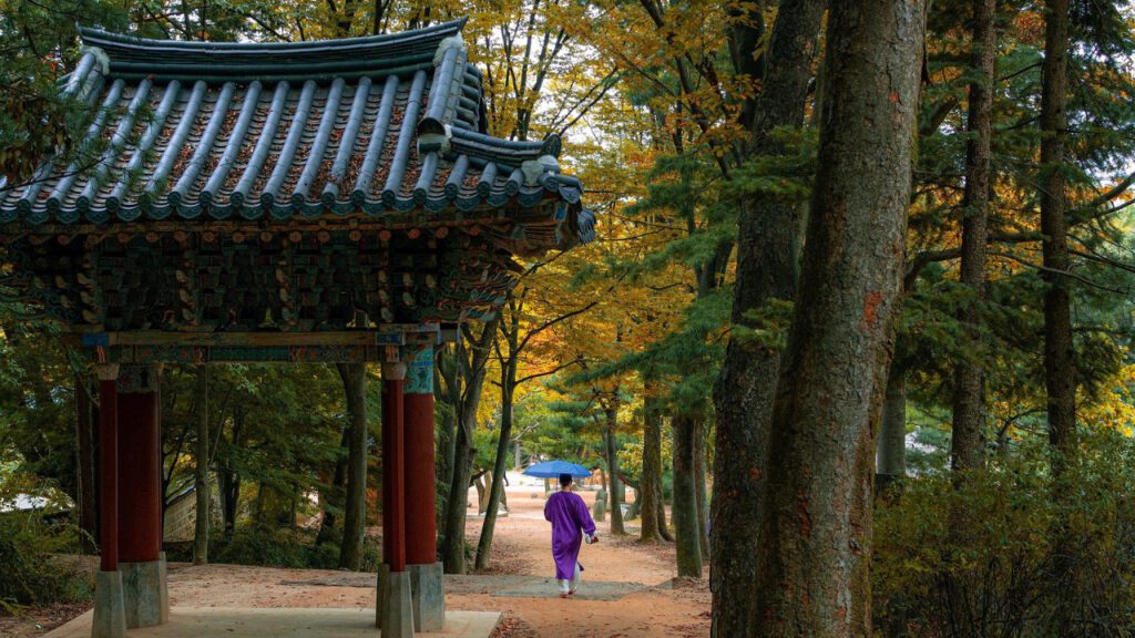 1 Week South Korea Honeymoon Itinerary: Seoul, Busan & Jeju Island (2026 Guide)