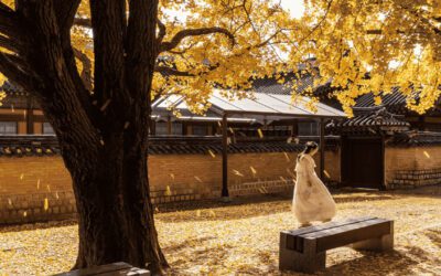 1 Week South Korea Honeymoon Itinerary: Seoul, Busan & Jeju Island (2026 Guide)