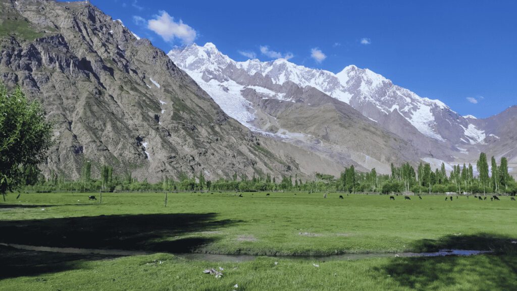 Yasin Valley Travel & Trekking Guide