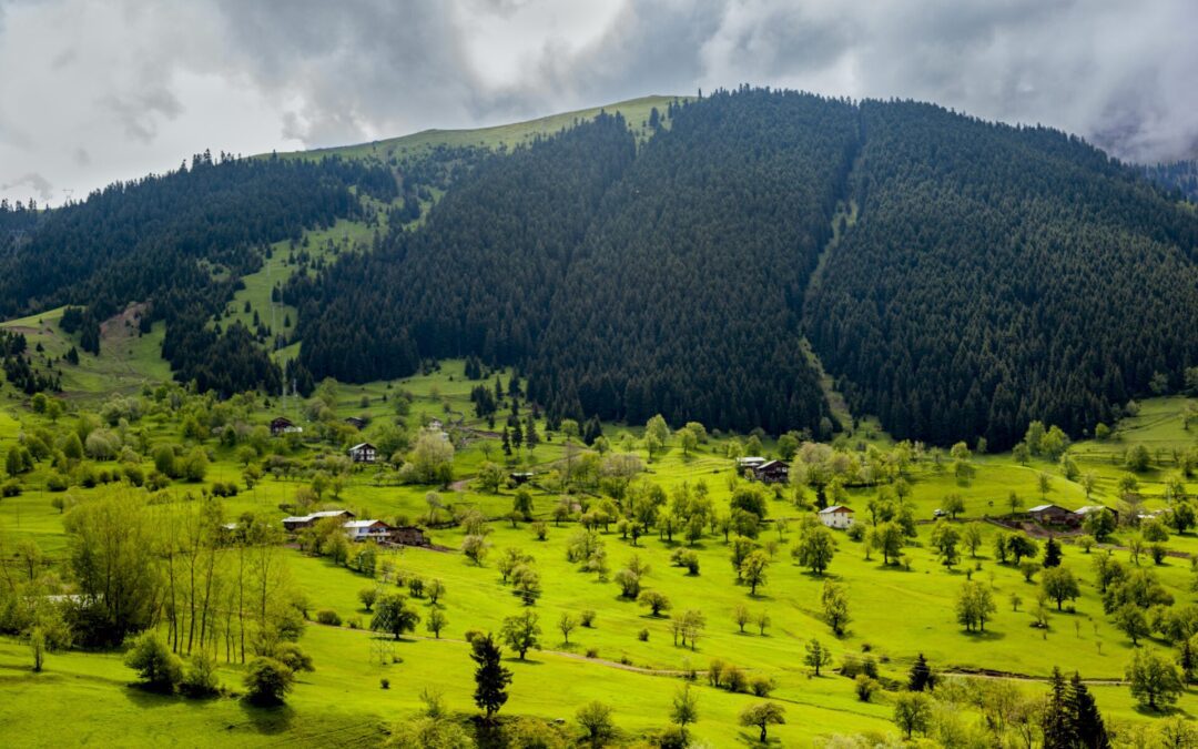 Explore the Untouched Beauty of Neelum Valley: Discover the Nature of Kashmir