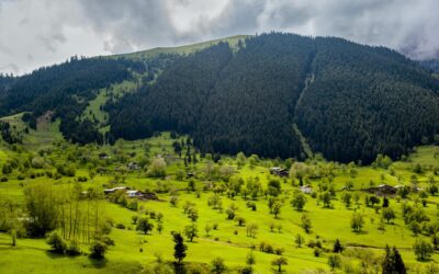 Explore the Untouched Beauty of Neelum Valley: Discover the Nature of Kashmir