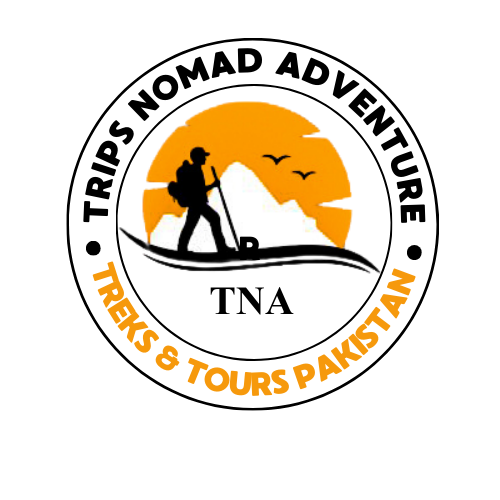 Trips Nomad Adventure Logo and Identity