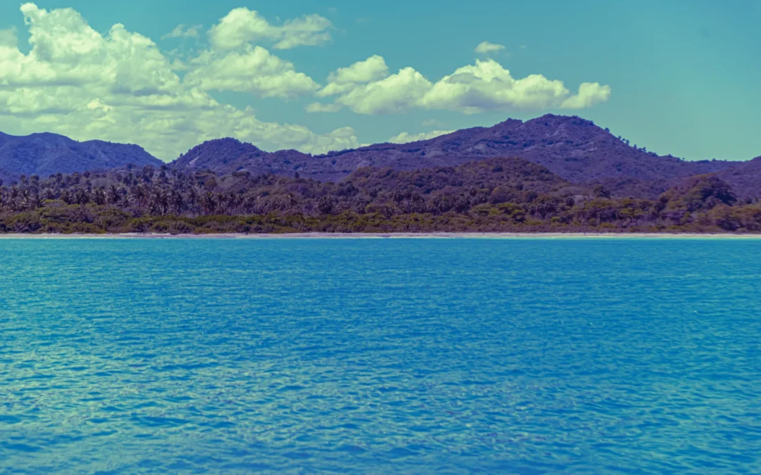 Solo Travel vs Guided Tours: The Smart Way to Explore the World in 2026