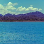 Solo Travel vs Guided Tours: The Smart Way to Explore the World in 2026