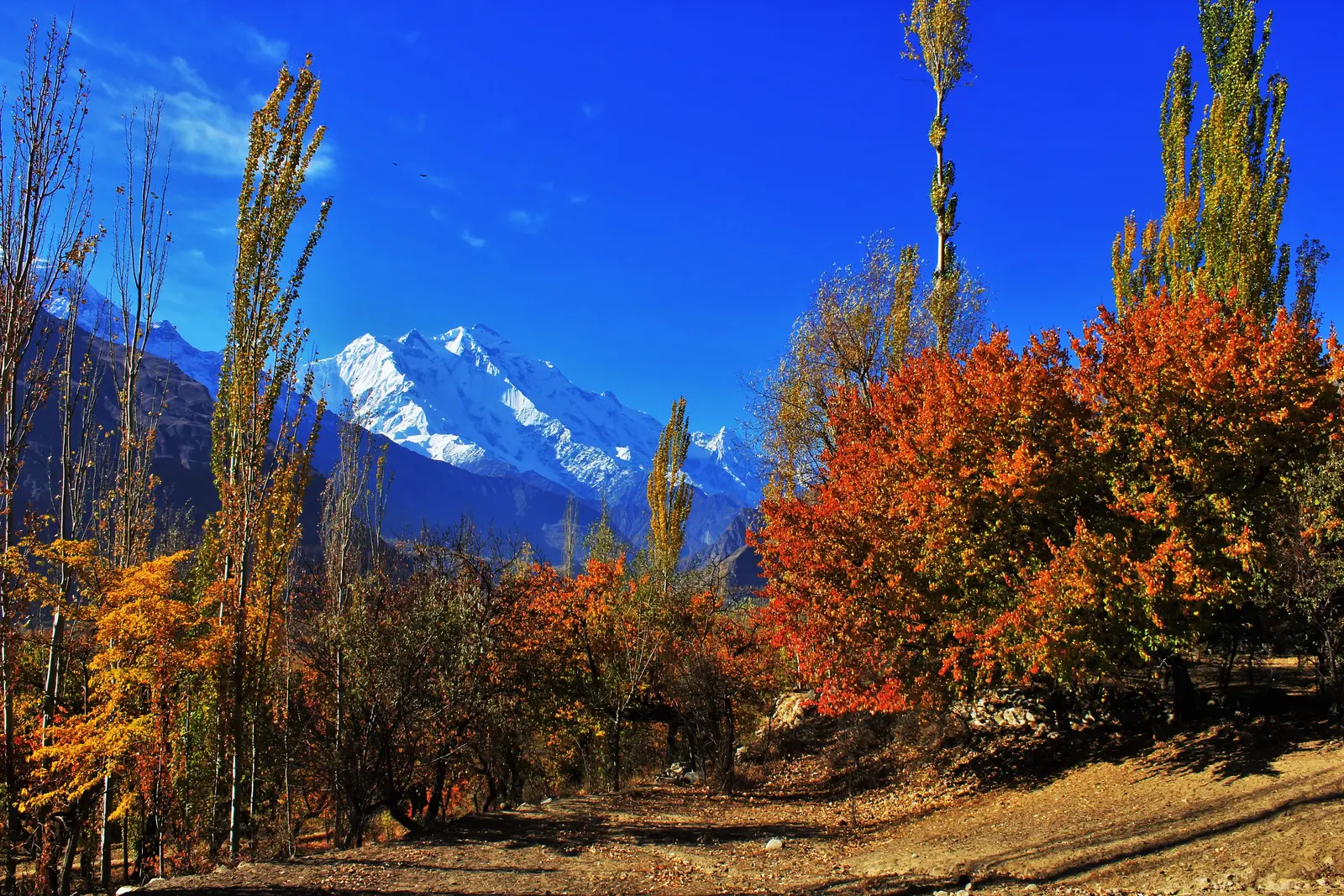 Autumn Color Tours in Hunza Valley Northern Pakistan