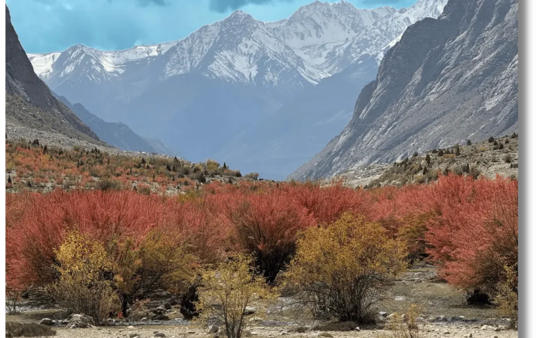 Where to Go for an Autumn Colors Tour 2026 in Northern Pakistan