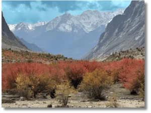 Where to Go for an Autumn Colors Tour 2026 in Northern Pakistan