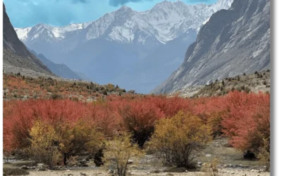 Where to Go for an Autumn Colors Tour 2026 in Northern Pakistan